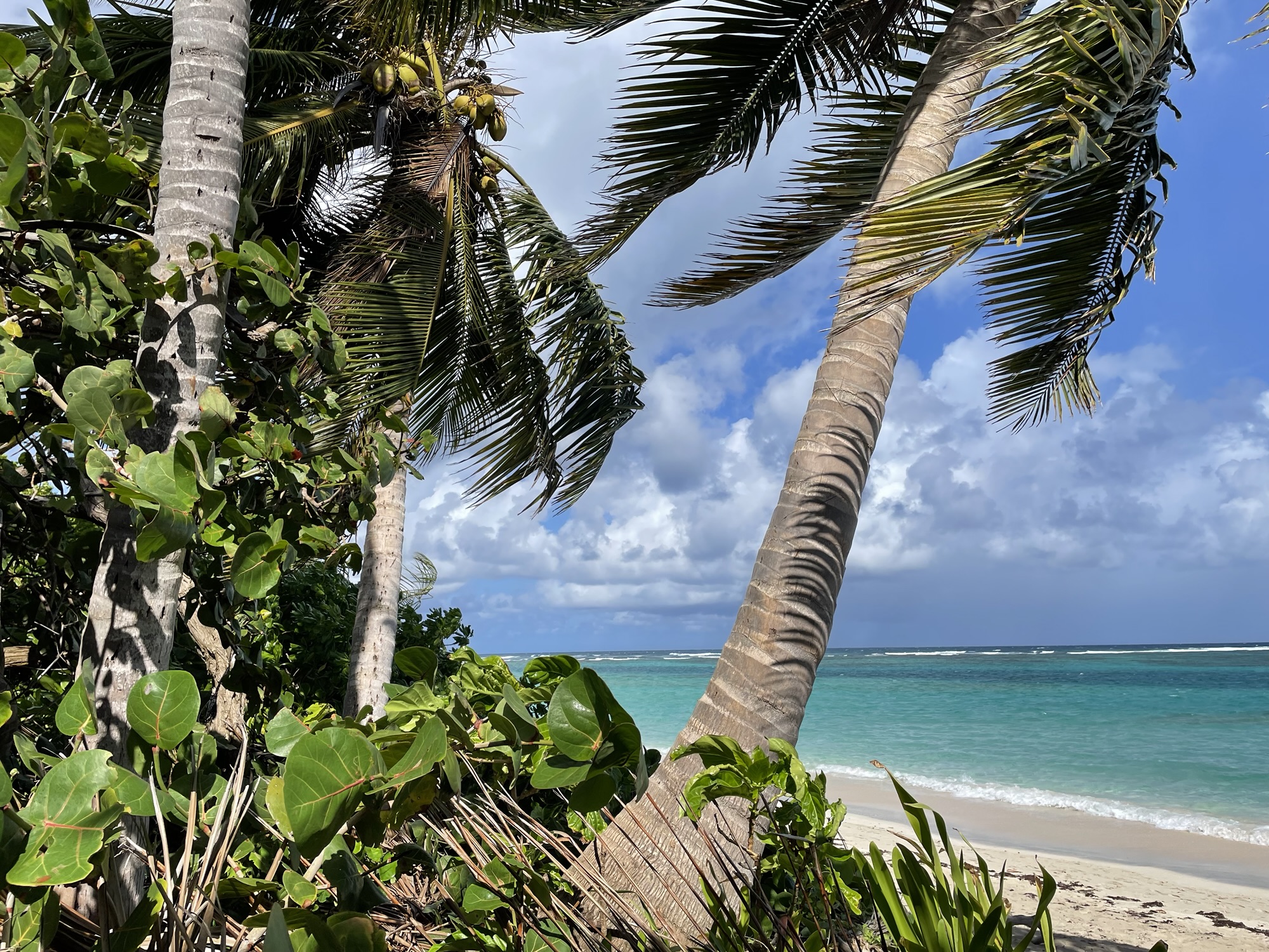 Flamenco Beach, Culebra