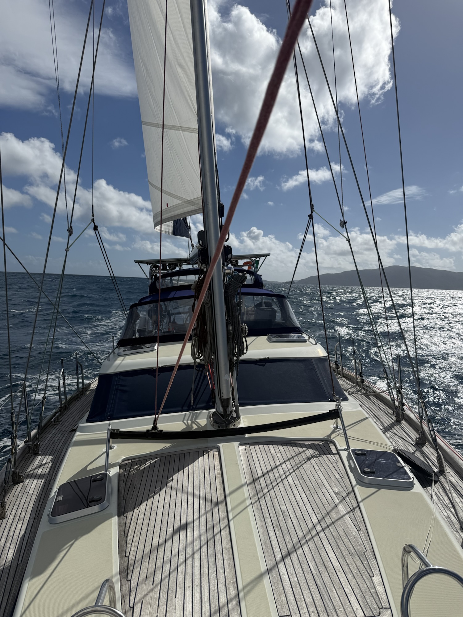 Sailing Fun with Dolphin